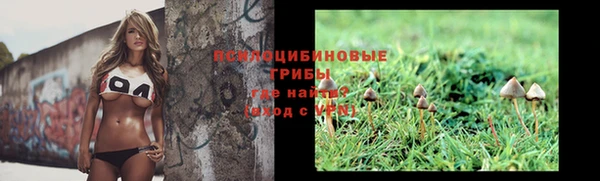 героин Богданович
