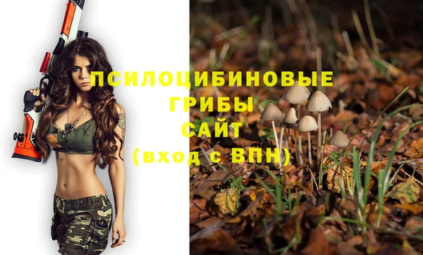 дмт Белокуриха