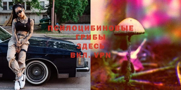 героин Богданович