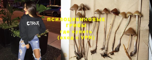 дмт Белокуриха